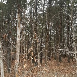 Meet your Posher, Rogelio